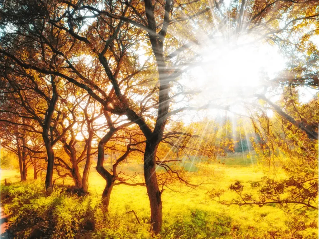 La signification des couleurs dans les attrape-soleil